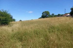 Picture of listing #329704542. Land for sale in Montbard