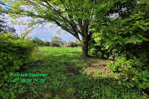 Picture of listing #329705545. Land for sale in Leforest