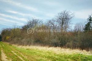 Picture of listing #329712113. Land for sale in Foulain
