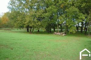 Thumbnail of property #329722940. Click for details