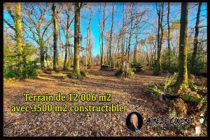 Picture of listing #329724028. Land for sale in Montendre