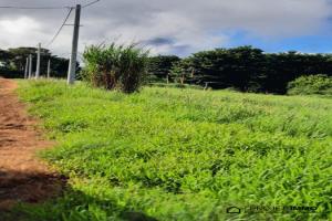 Picture of listing #329735287. Land for sale in Afaahiti