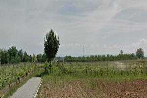 Picture of listing #329746121. Land for sale in Bergheim