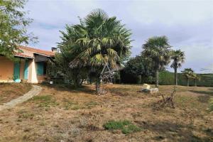 Thumbnail of property #329757415. Click for details