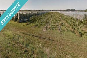 Picture of listing #329807327. Land for sale in Reyniès