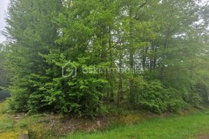 Picture of listing #329810665. Land for sale in Saint-Hilaire-les-Andrésis