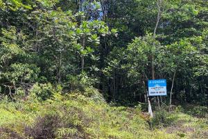 Picture of listing #329826147. Land for sale in Roura