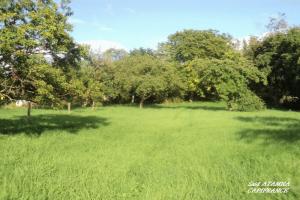 Picture of listing #329829083. Land for sale in Thaon