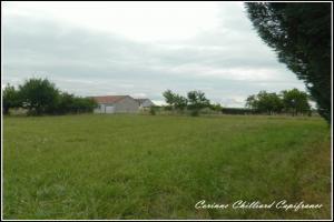 Picture of listing #329829719. Land for sale in Moulotte