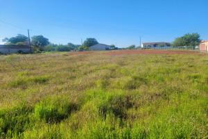 Picture of listing #329829742. Land for sale in Cissac-Médoc