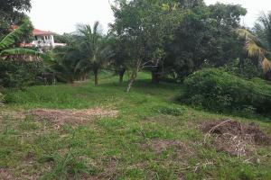 Thumbnail of property #329835775. Click for details
