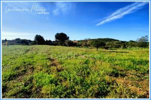 Picture of listing #329838680. Land for sale in Neffiès