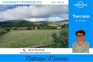 Picture of listing #329841117. Land for sale in Lucenay-l'Évêque