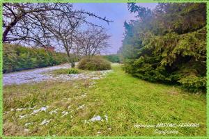 Picture of listing #329841180. Land for sale in Lunery