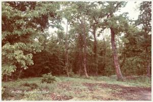 Picture of listing #329842324. Land for sale in Méry-sur-Oise