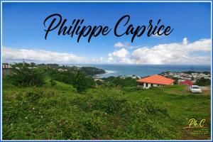 Picture of listing #329842360. Land for sale in Le Marigot