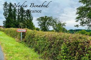 Picture of listing #329842871. Land for sale in Maizilly