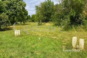Picture of listing #329843752. Land for sale in Reims
