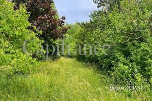 Picture of listing #329843753. Land for sale in Bétheniville