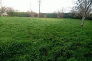 Picture of listing #329844503. Land for sale in Cany-Barville