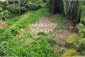 Picture of listing #329846420. Land for sale in Le Lamentin