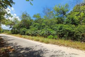 Picture of listing #329846720. Land for sale in Sinnamary
