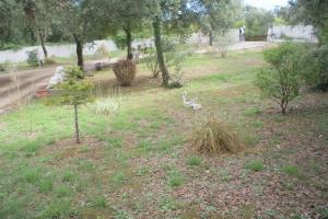 Thumbnail of property #329847889. Click for details