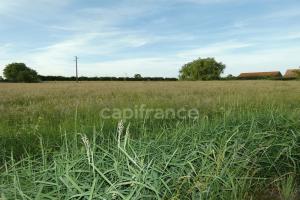 Picture of listing #329848587. Land for sale in Chalon-sur-Saône