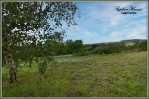 Picture of listing #329849148. Land for sale in Olizy-Primat