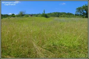 Photo de l'annonce nº 329851574. Terrain à vendre sur Saint-Hilaire-de-Lusignan