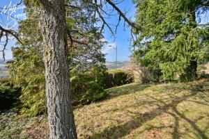 Picture of listing #329852019. Land for sale in Saint-Martin-en-Haut
