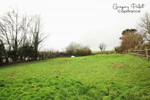 Picture of listing #329854887. Land for sale in Nielles-lès-Bléquin