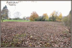 Picture of listing #329855108. Land for sale in Chevillon