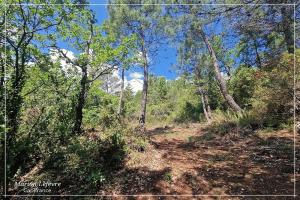 Picture of listing #329865569. Land for sale in Tourves