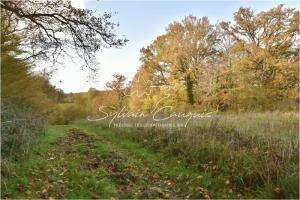 Picture of listing #329865901.  for sale in Argent-sur-Sauldre