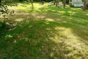 Thumbnail of property #329867248. Click for details