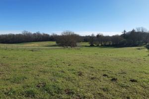 Picture of listing #329868406. Land for sale in La Rochefoucauld