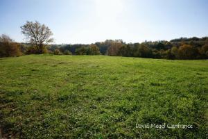 Photo de l'annonce nº 329874534. Terrain à vendre sur Lengelsheim