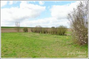 Picture of listing #329875259. Land for sale in Barly