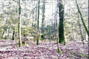 Picture of listing #329875612. Land for sale in Landévant
