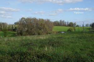 Photo de l'annonce nº 329876161. Terrain à vendre sur Arzacq-Arraziguet