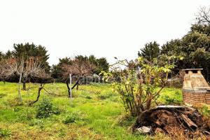 Picture of listing #329876962. Land for sale in San-Nicolao