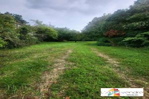 Picture of listing #329877774. Land for sale in Lachelle