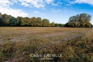 Picture of listing #329878677. Land for sale in Tostat