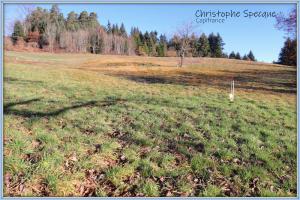 Photo de l'annonce nº 329882984. Terrain à vendre sur Chabreloche