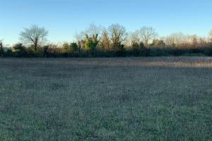Picture of listing #329883636. Land for sale in Saint-Jean-d'Angély