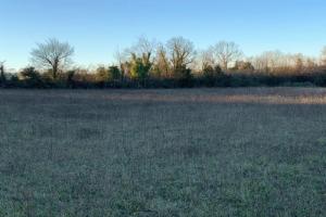Picture of listing #329883644. Land for sale in Saint-Jean-d'Angély