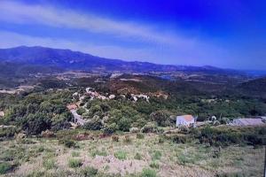 Picture of listing #329883773. Land for sale in Olmeta-di-Tuda