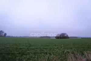 Picture of listing #329884107. Land for sale in Dohem