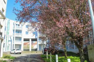 Picture of listing #329912641. Appartment for sale in Terville